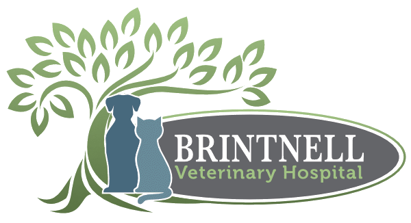 Brintnell Veterinary Hospital